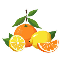 Set of yellow lemon and red orange. Isolated vector sliced fruit in flat design