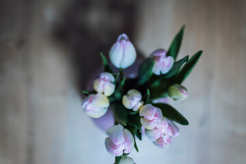 Tulip flower bouquet in bloom on a blurry wooden background