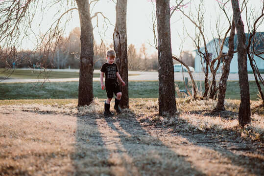 Far away view of young boy exploring tree rows in yard at home