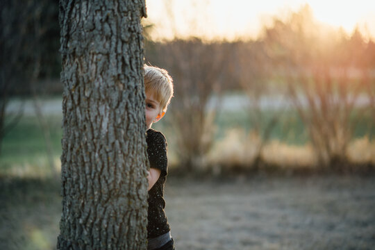 Close up of young boy peeking around tree on hazy summer evening
