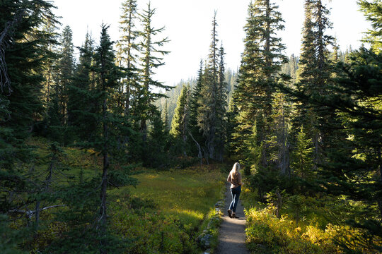 woman walking in mt rainier forest