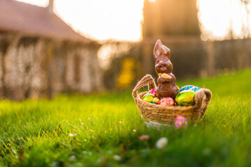 Easter eggs in basket in grass. Colorful decorated easter eggs in wicker basket. Traditional egg hunt for spring holidays. Morning magical light