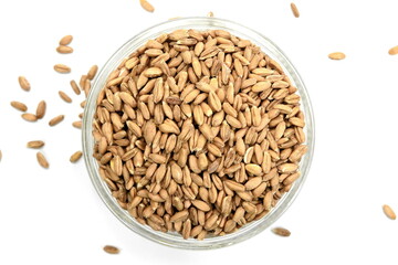 spelt grain in a bowl isolated on white background