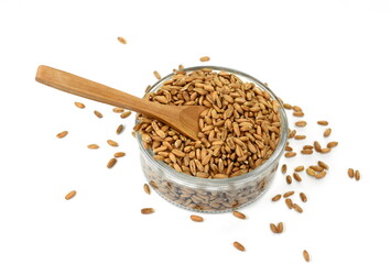 spelt grain in a bowl with wooden spoon isolated on white background
