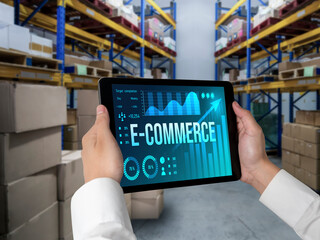 E-commerce data software provide modish dashboard for sale analysis to the online retail business