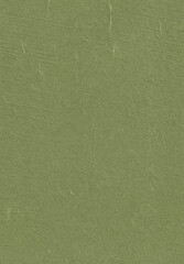 Seamless Organic Rice Paper Texture for the Background. Highland, Dingley, Go Ben, Finch Color. Vertical portrait orientation.