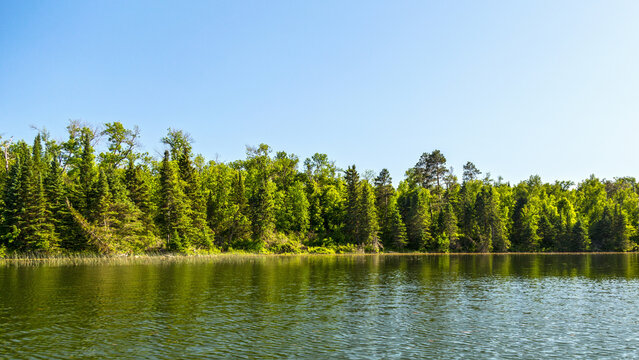 Lake Itasca at Itasca State park, Minnesota
