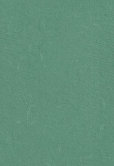Seamless Handmade Rice Paper Texture for the Background. Patina, Cutty Sark, Oxley, Dark Green...