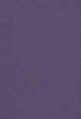 Seamless Natural Rice Paper Texture for the Background. Meteorite, Mobster, Honey Flower, Fedora...