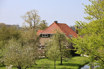 Obraz premium Various houses along the IJsseldijk near Ver Hitland in Nieuwerkerk aan den IJssel