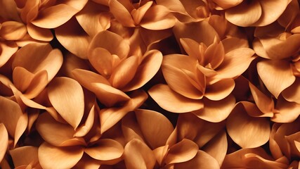 Umber flower petals. Pattern of umber petals.