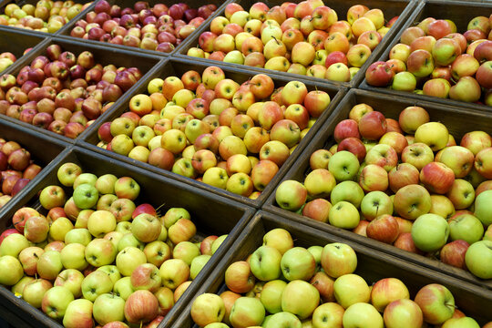 Apple harvest on the supermarket counter. Farm apples in boxes on a market display.