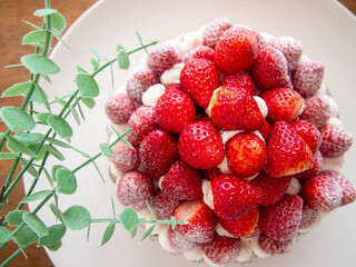 お菓子作り　苺のタルト