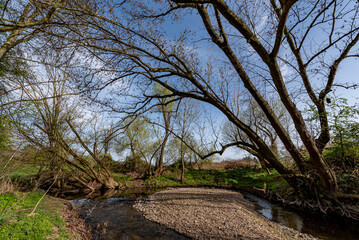 Kiesbank in einem naturbelassenen, renaturierten Bach mit Bäumen und Gebüschen an der Uferböschung bei schönem Frühlingswetter