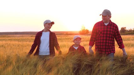 Agricultural family engages walking through wheat expanse. Mother indicates sundown traversing...