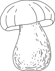 Vector mushroom drawing. Line art style - 768543581
