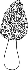 Vector mushroom drawing. Line art style - 768543582