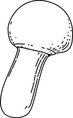 Vector mushroom drawing. Line art style - 768543593