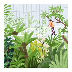 Greenhouse, botanical garden, park. Person walking on bridge in conservatory with greenery, exotic tropical leaf plants thickets, nature in hothouse, green glass house. Flat vector illustration - 768544957