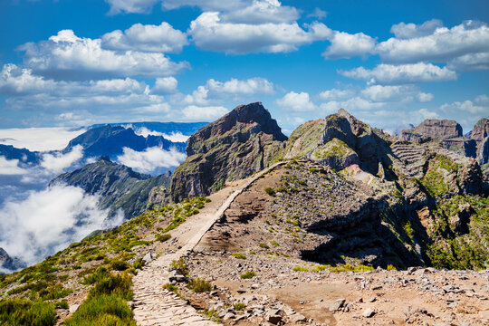 The picturesque stone trail PR 1 in Madeira. The route leads through rocky terrain, surrounded by lush greenery, under a blue sky with white clouds, creating a harmonious image of the island's natural