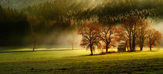 Finest autumn lansdcape of Bavarian nature with several trees and magestic light and fog. Scenic...