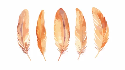 Raamstickers Veren Wood frame feathers retro isolated flat vector 