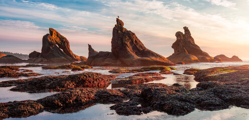 Rocky Shore on the West Coast of Pacific Ocean. Nature Background. - obrazy, fototapety, plakaty