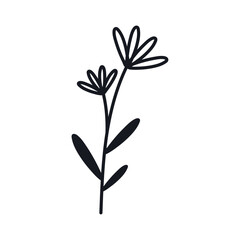 vector hand drawn simple flower outline