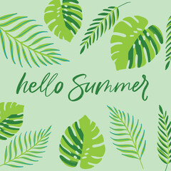 hello summer lettering and illustration