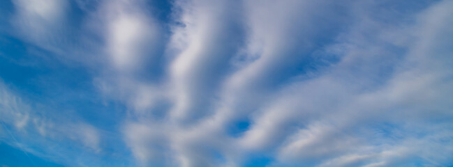 Beautiful blue sky with white Altocumulus undulatus clouds. - 768551572