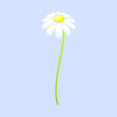 vector blooming spring flowers on white background