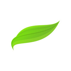 Obraz premium Vector green leaf icon on white background