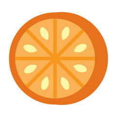 vector orange slice illustration on white background