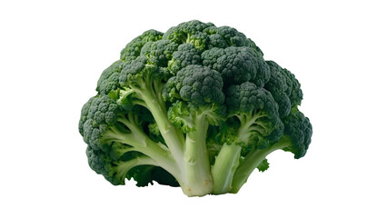 Broccoli png Green broccoli isolated png Fress broccoli png broccoli cabbage png Organic Fresh Raw Broccoli png reen cauliflower png broccoli transparent background broccoli without background