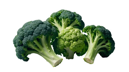 Broccoli png Green broccoli isolated png Fress broccoli png broccoli cabbage png Organic Fresh Raw Broccoli png reen cauliflower png broccoli transparent background broccoli without background