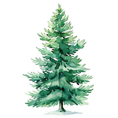 Watercolor Christmas Tree Clipart clipart isolated on