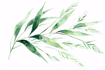 Elegant green watercolor foliage with long leaves and branches