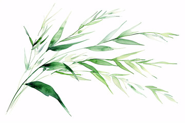 Watercolor artwork of green leaves angled to the left