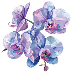Watercolor Orchid Clipart clipart isolated on white background