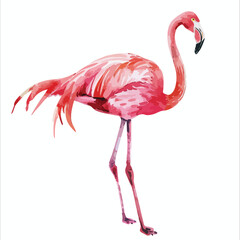 Watercolor Pink Flamingo Clipart clipart isolated on