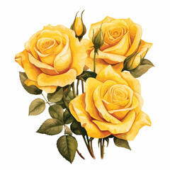 Yellow Roses Clipart clipart isolated on white background
