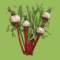 A vibrant sketch of garlic bulbs with red stems, nestled among green leaves - obrazy, fototapety, plakaty