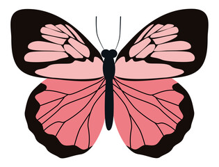 Monarch Butterfly Illustration