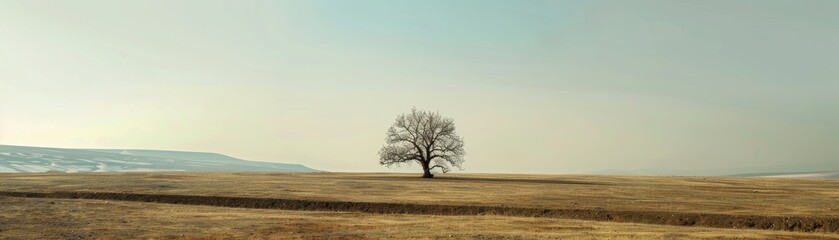 Fototapeta na wymiar A lone tree standing resilient in a vast open landscape