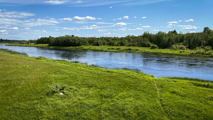 River bank, blue sky and lush green grass on a sunny summer day. - 768573778