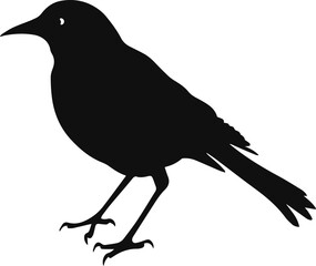 Bird Silhouette Illustration Vector Design