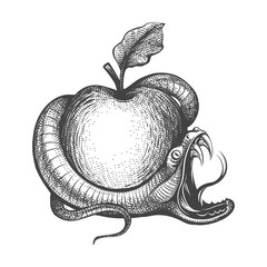 Snake Entwined Around Apple Engraving Tattoo Illustration