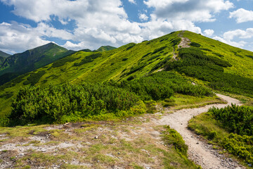 Fototapeta na wymiar Picturesque hiking trail in summer day. Beautiful view on West Tatras Mountains peaks, Poland. Popular travel and tourism destination for active lifestyle, sport and climbing activity.