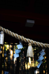 春の始まりの寒気