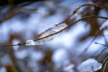 春の始まりの寒気